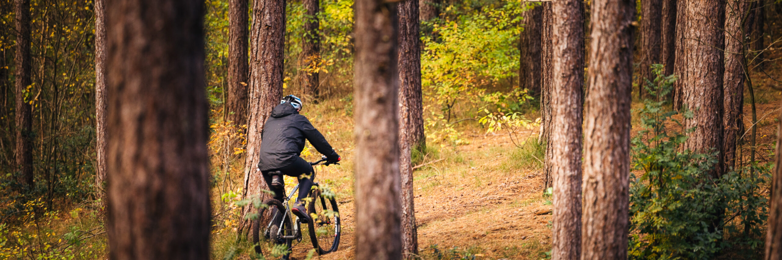 Mountainbiker in De Dennen