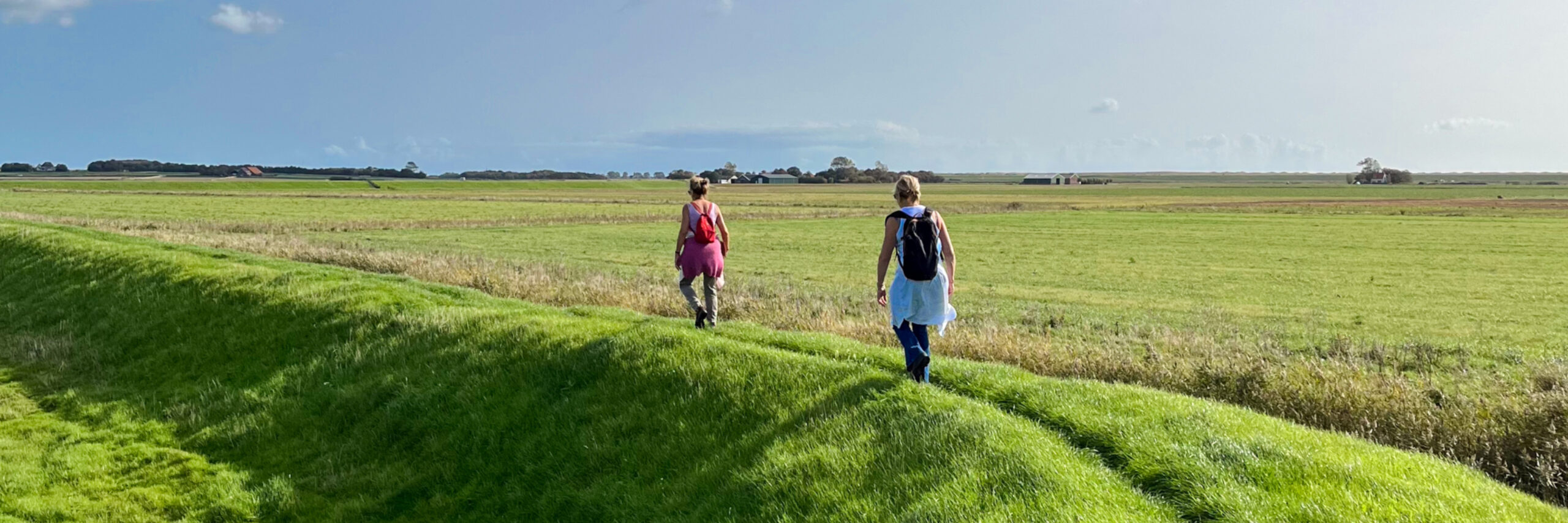 N Hpad Etappe 2 bochtige grasdijk