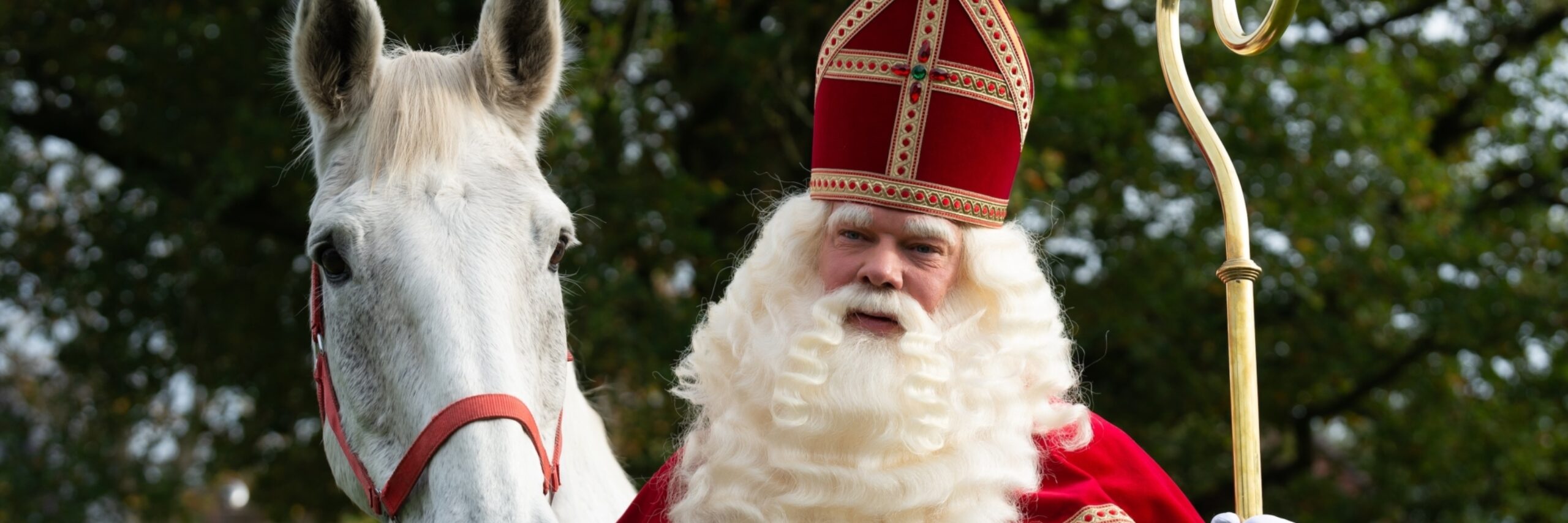 Sinterklaas shutterstock 2248356787 kopie