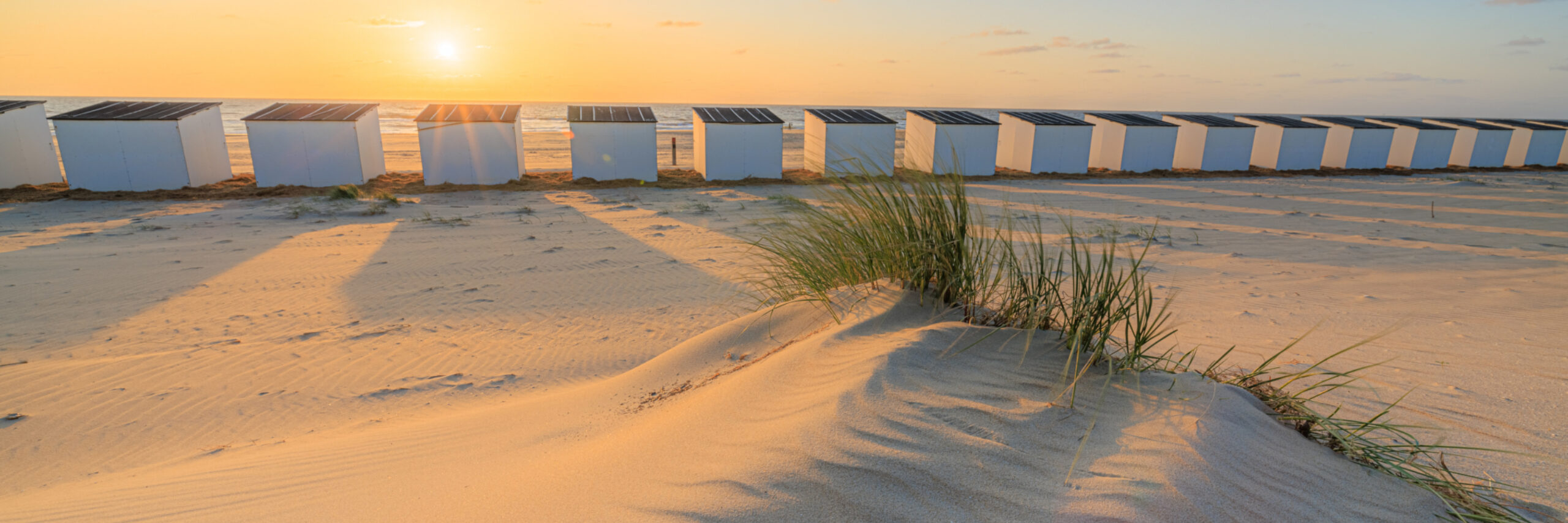 Strand strandhuisjes 20250507 irisborst Texel voorjaar 026 HDR