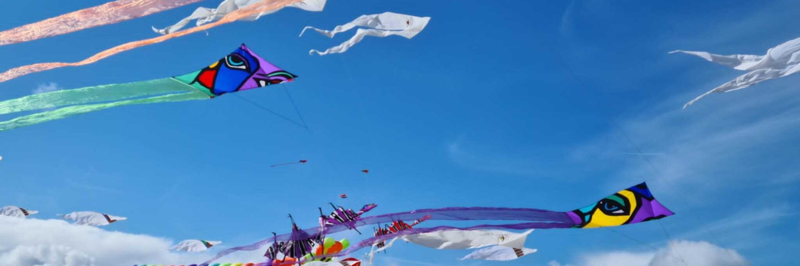 Windfestival 2