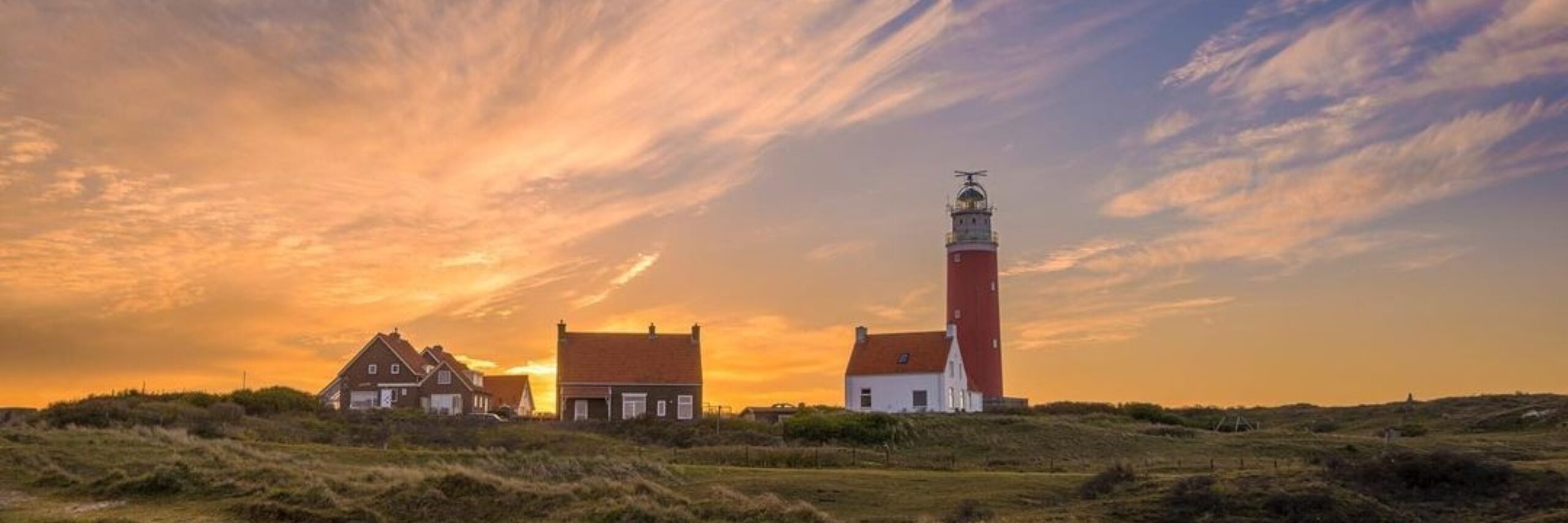 Texel