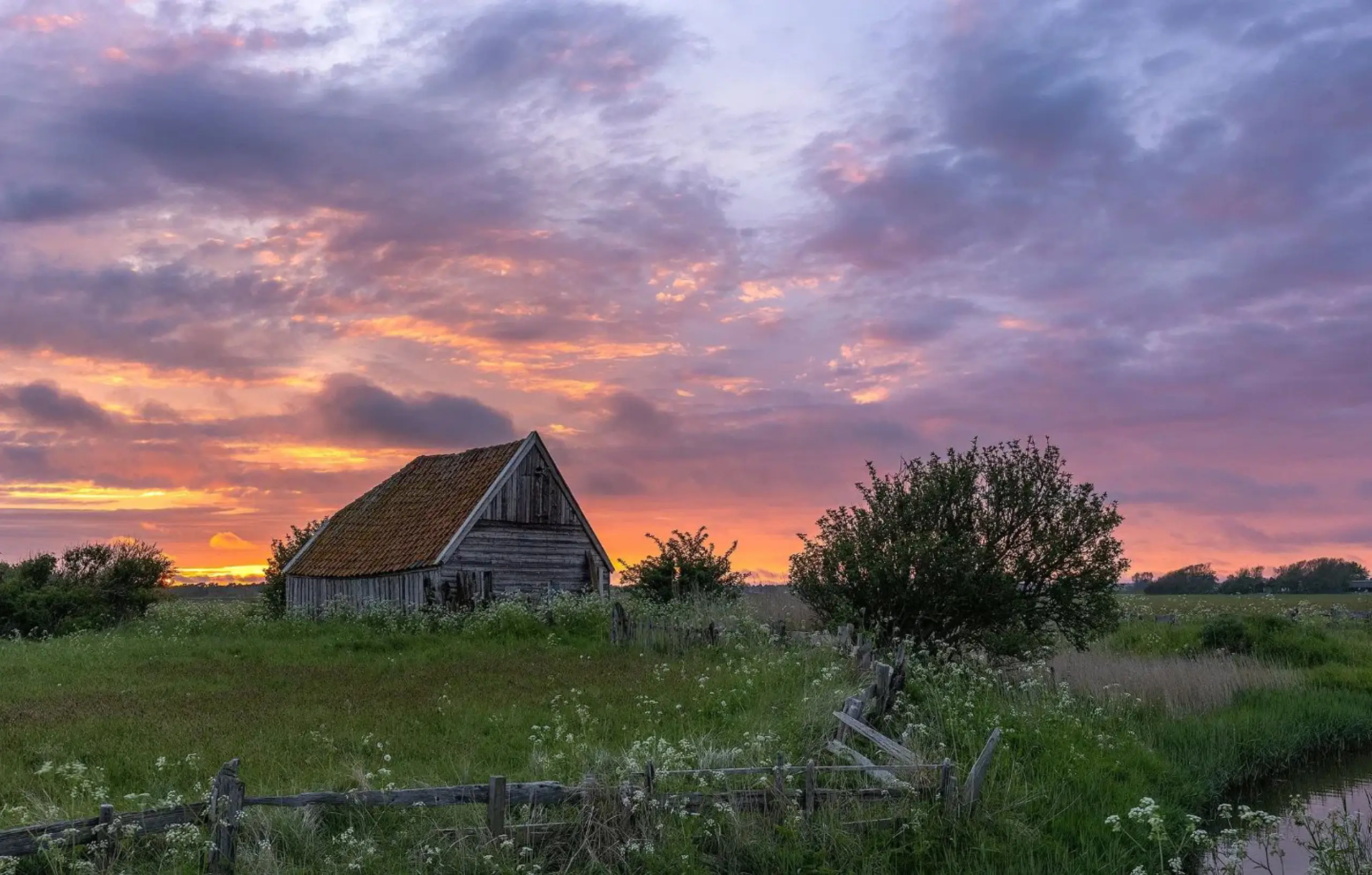 Sonnenuntergang mit Schuppen