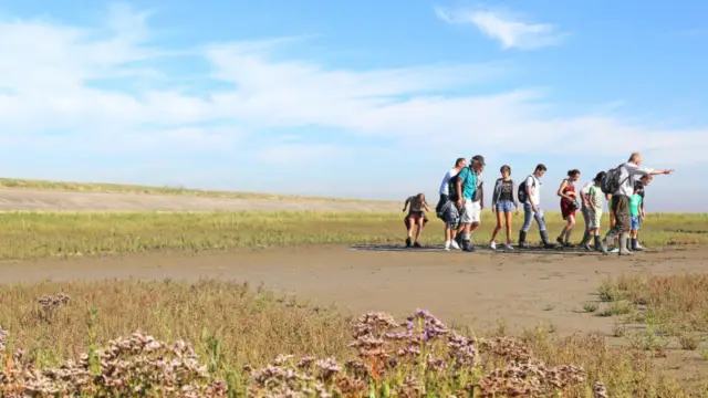 Naturexkursion auf Texel Foto Gertha Wessels