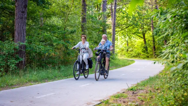 Gezinnen fietsen in bos