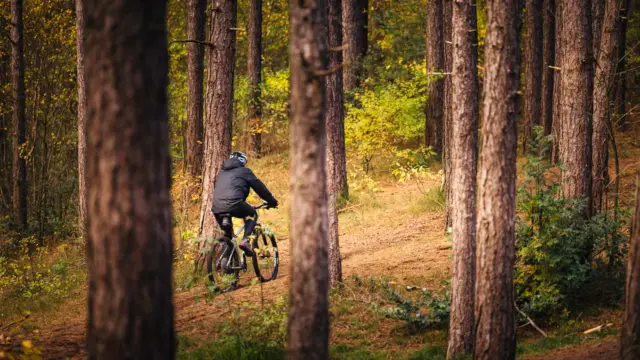 Mountainbiker in De Dennen