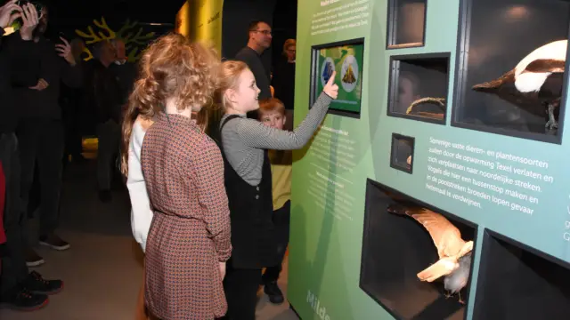 Kinderen doen de kieswijzer