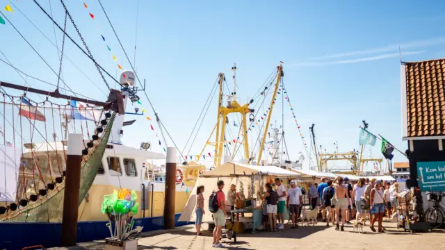 Hafenfest Haven Vistijn Oudeschild Foto Havenvistijn