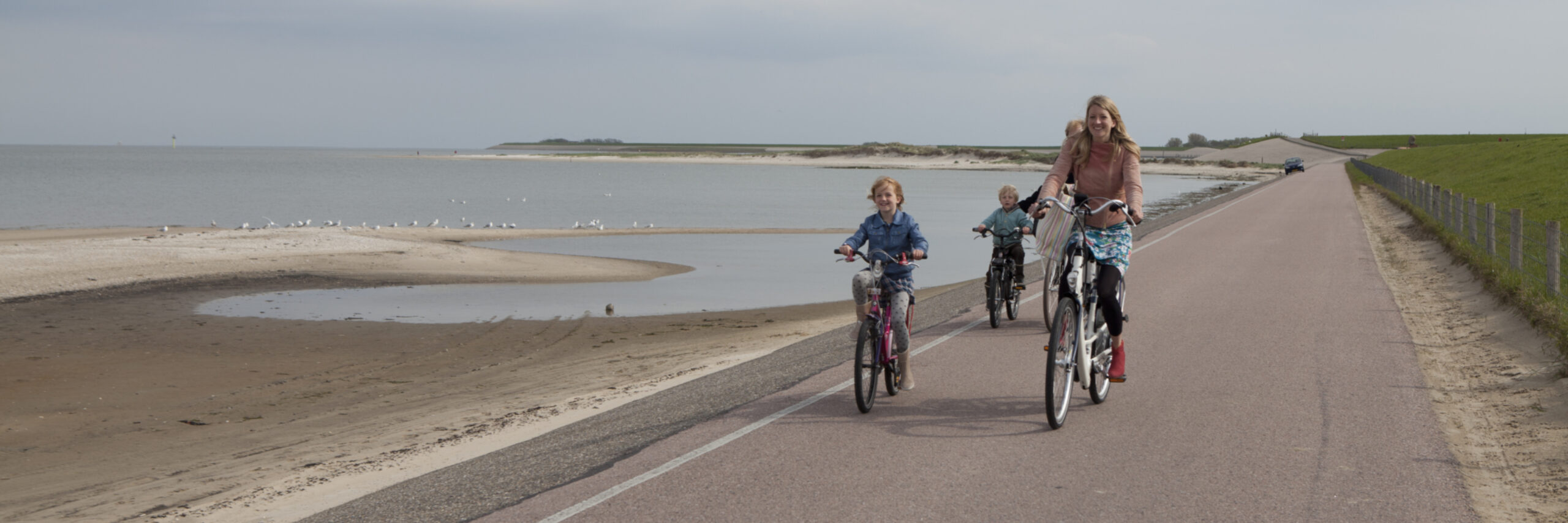 Fietsen langs de Vogelboulevard