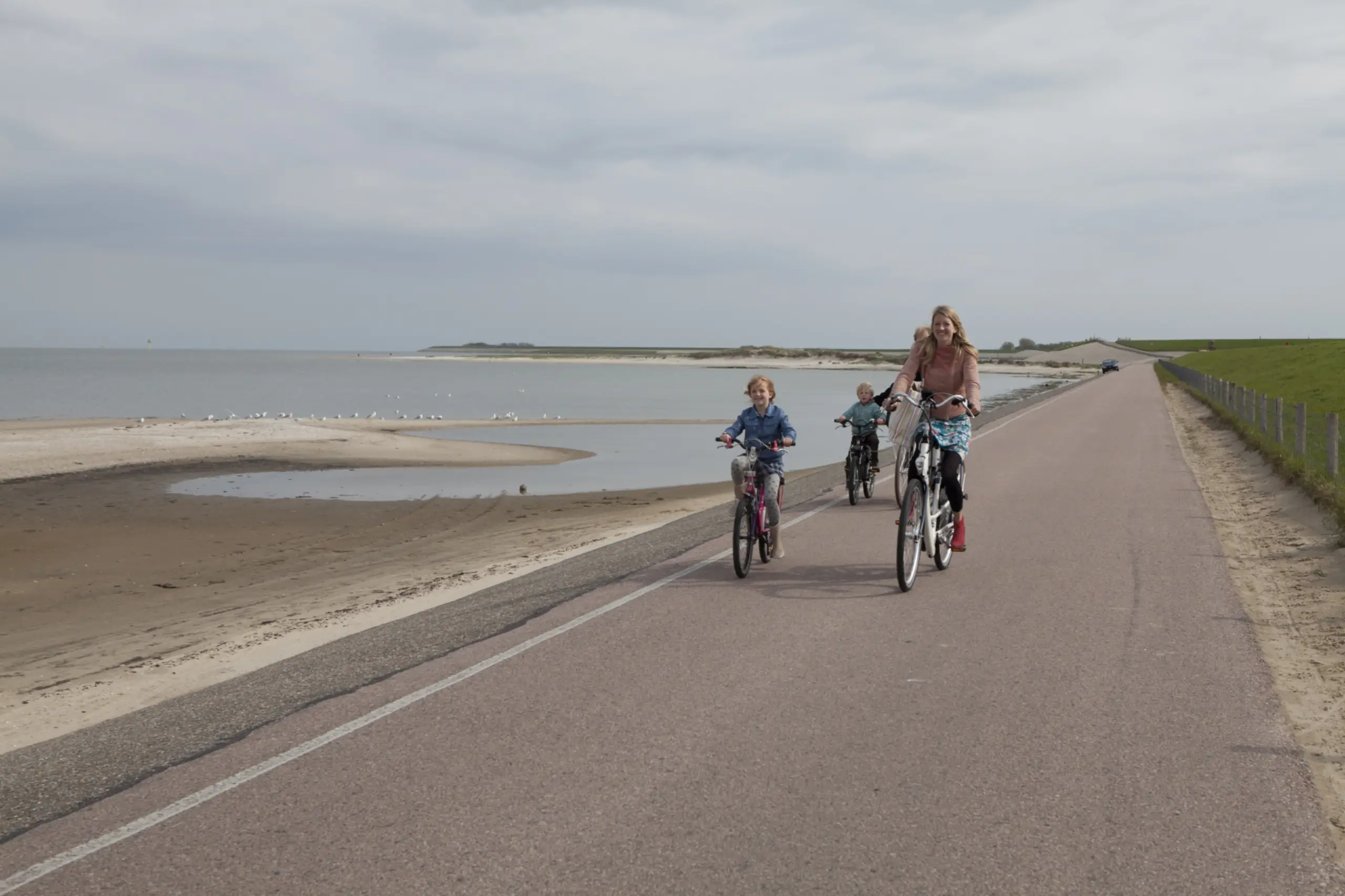 Fietsen langs de Vogelboulevard