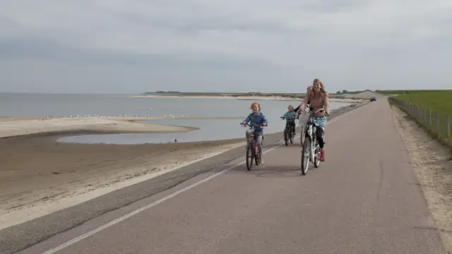 Fietsen langs de Vogelboulevard