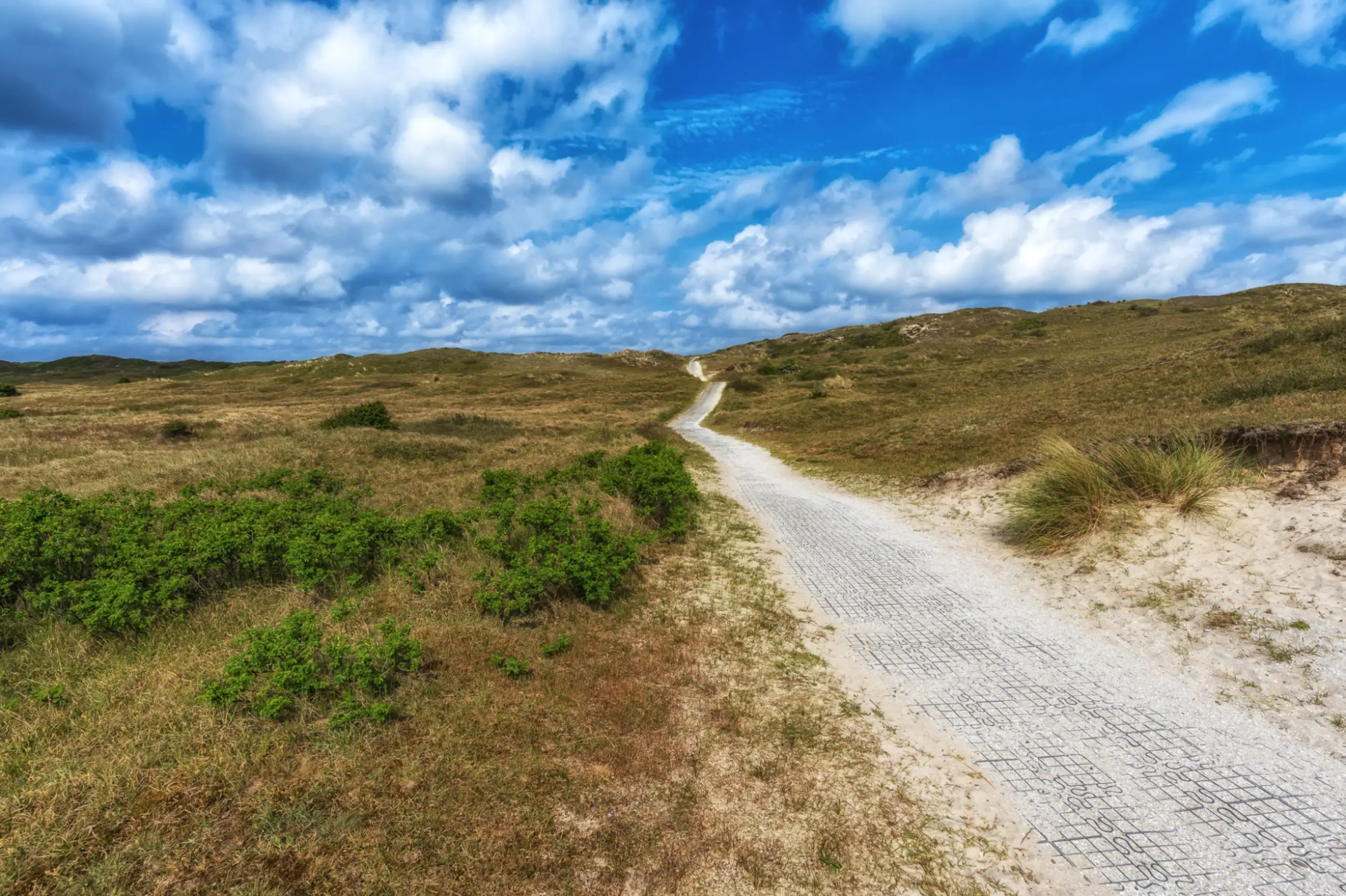 Eierlandse Duinen