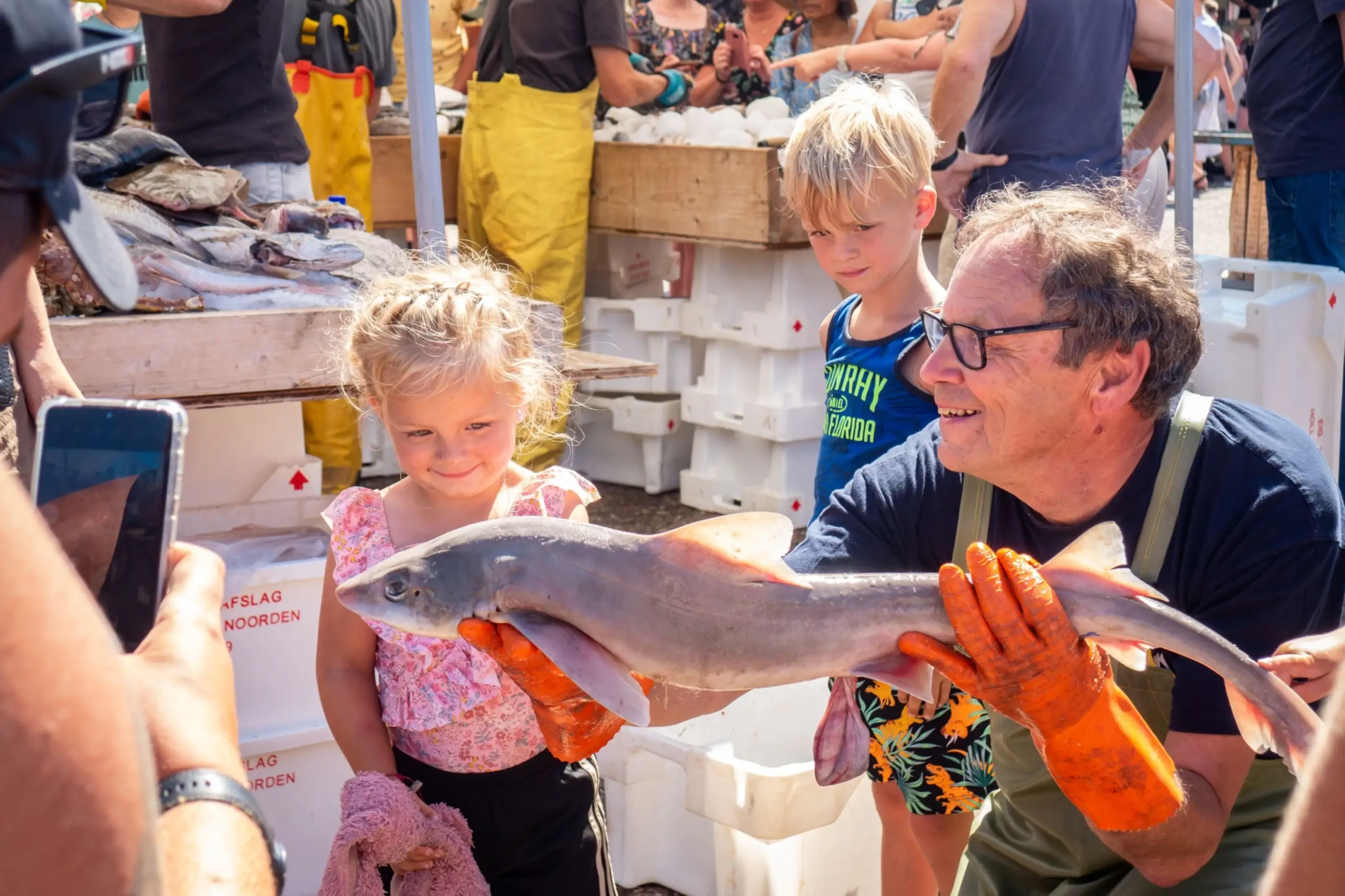 Fischdemo beim Haven Vistijn Oudeschild