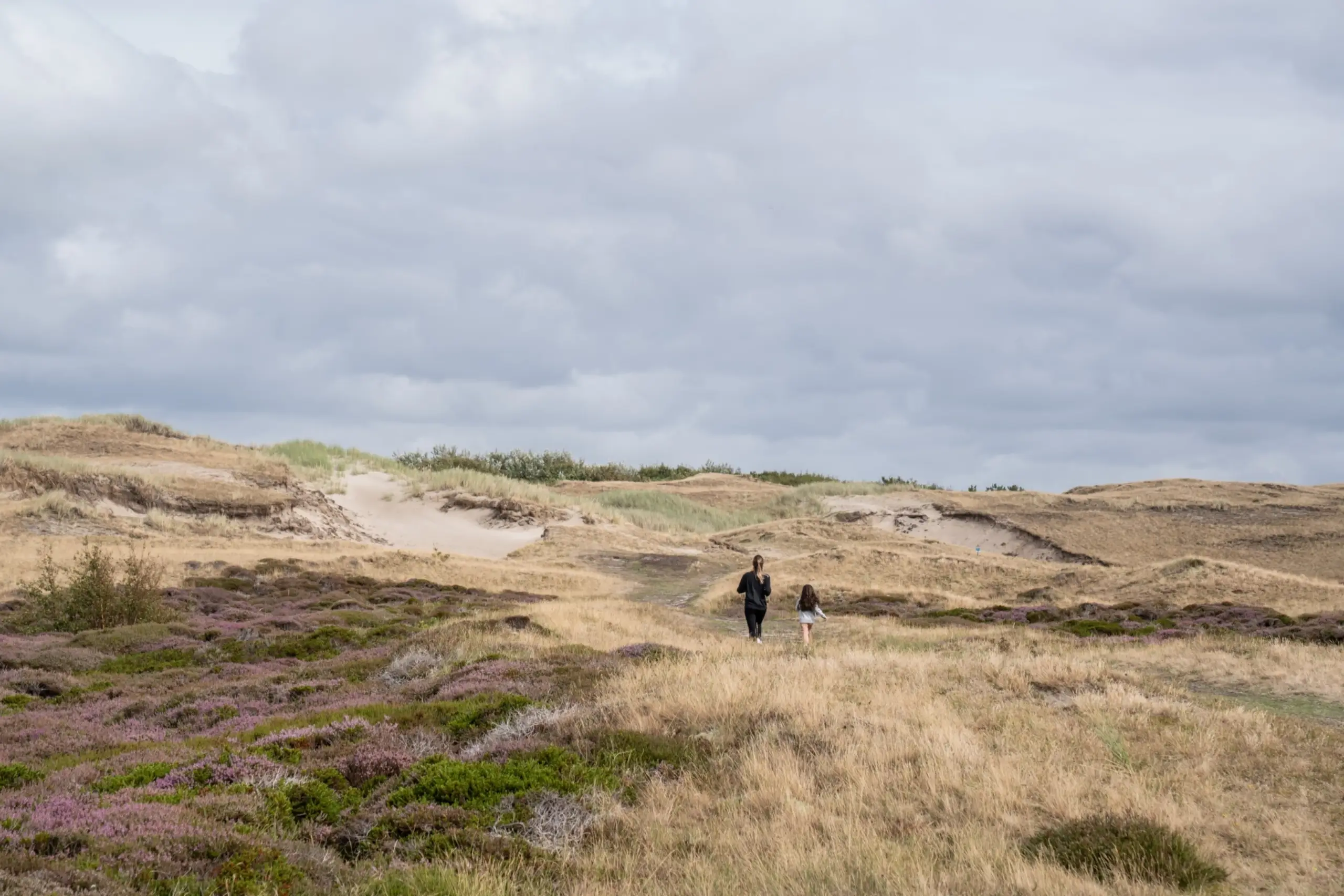 Wandelen in de Bollekamer