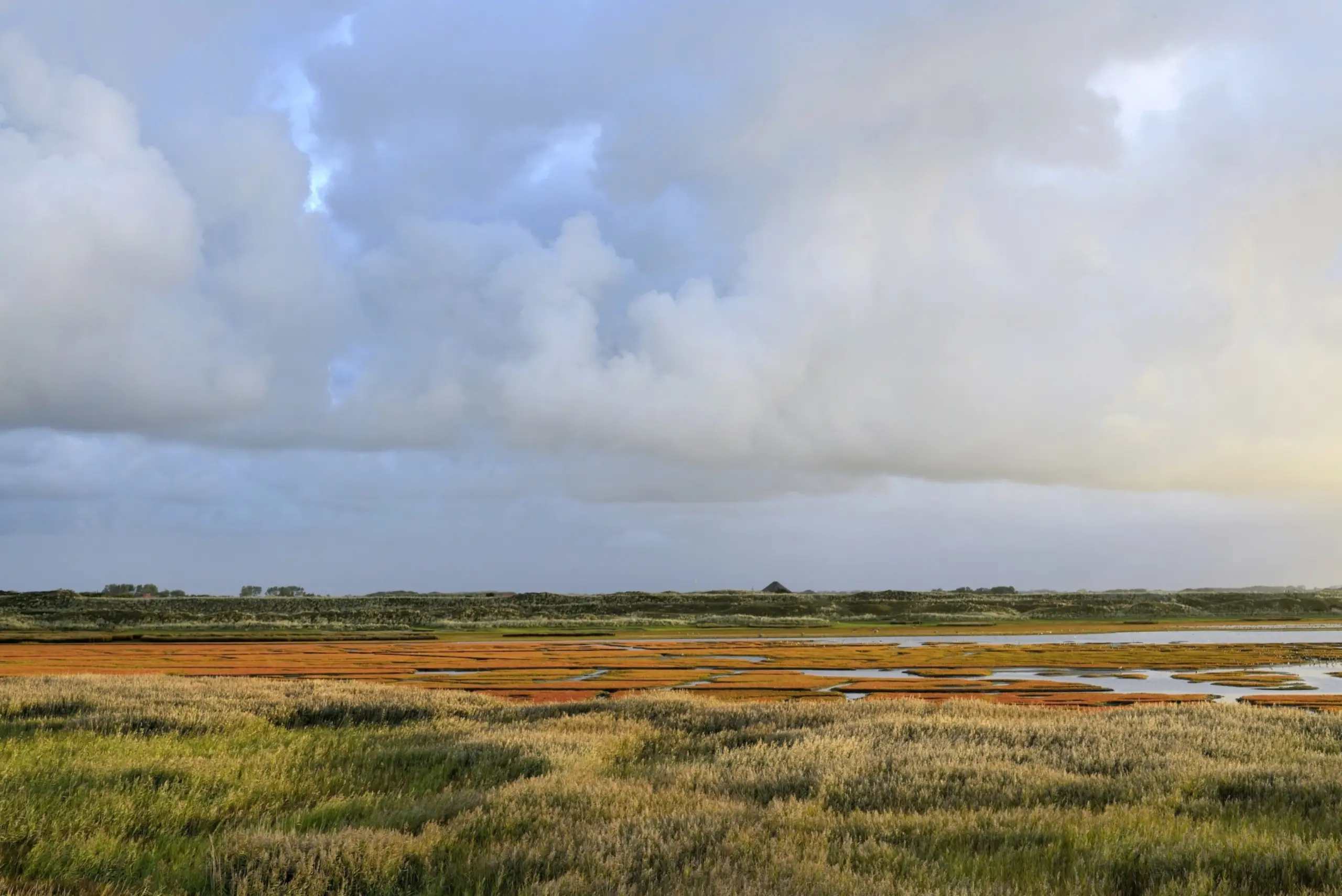 De Mokbaai