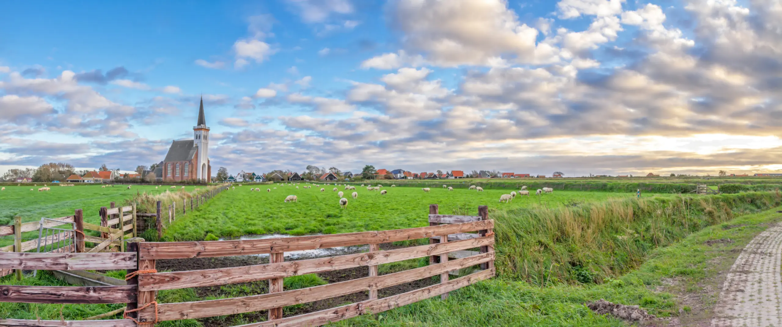Kerkje Den Hoorn met schapen 2