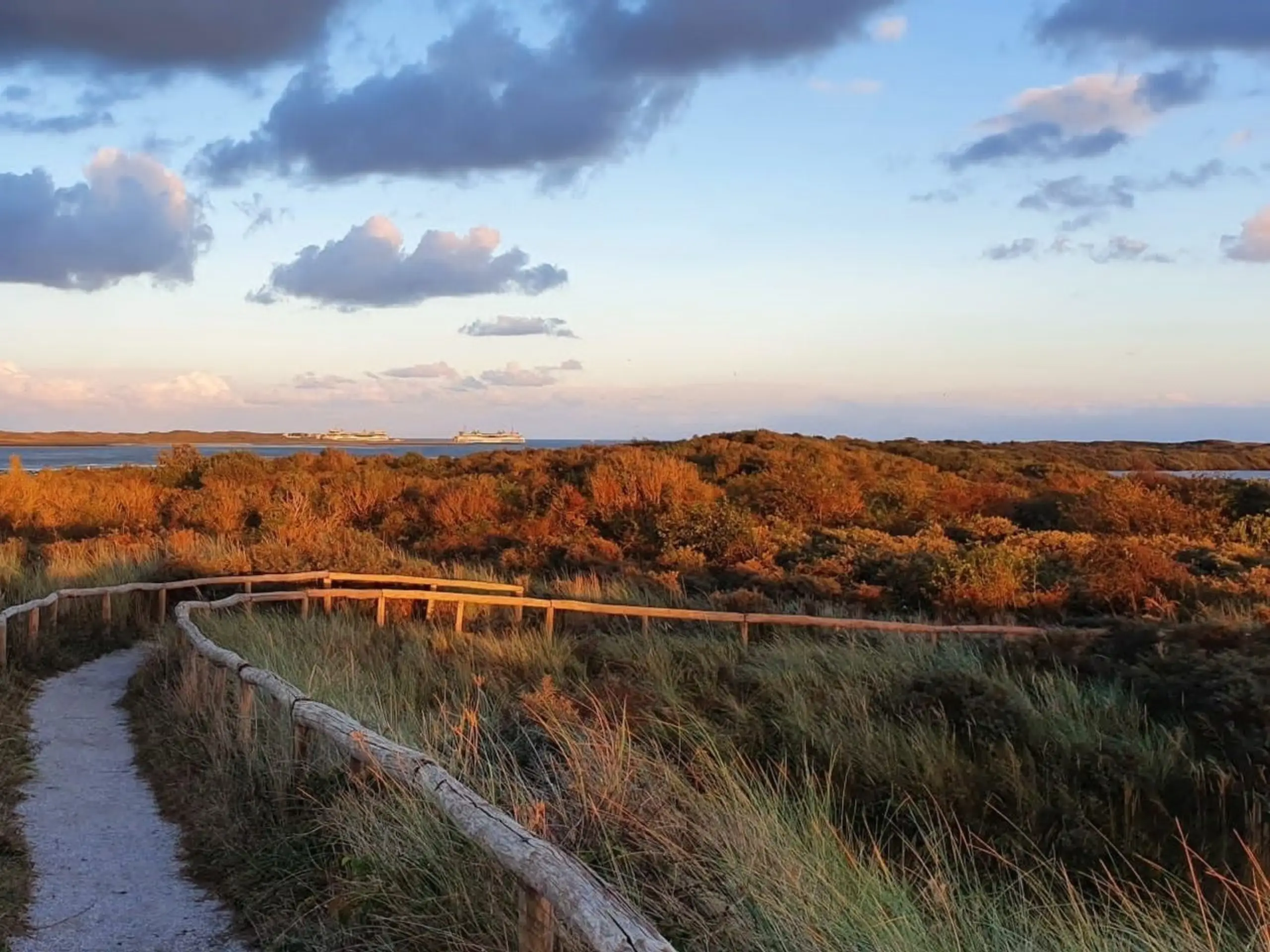 De Horsmeertjes en De Mokbaai