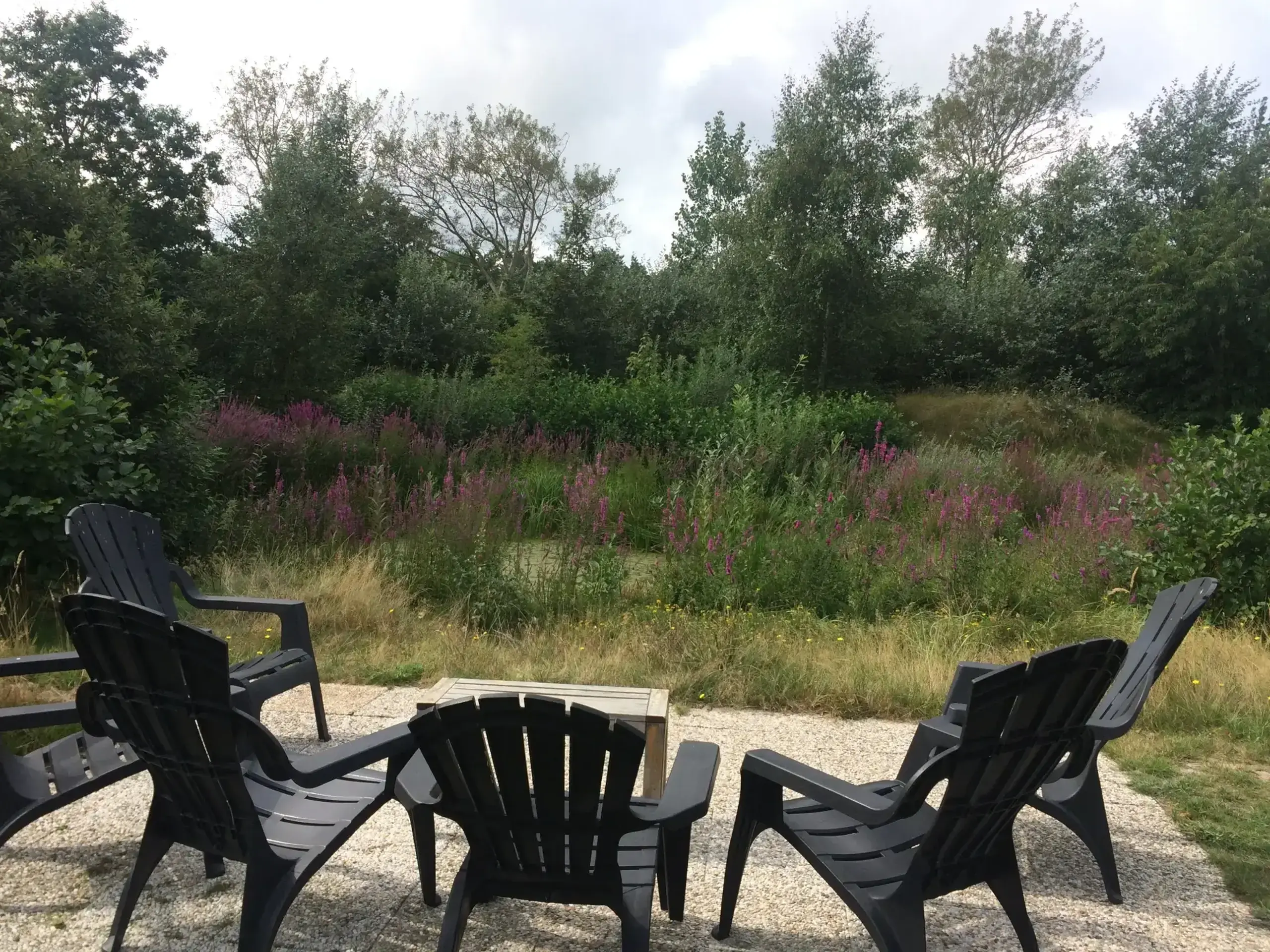 Bosbungalow